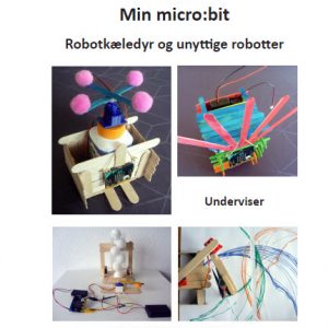 Kæledyrsrobotter og unyttige robotter - Underviser
